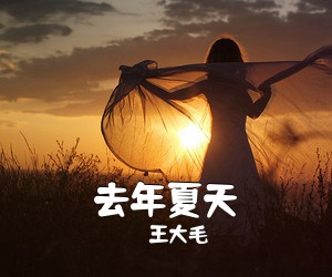 去年夏天 (Cover 王大毛)